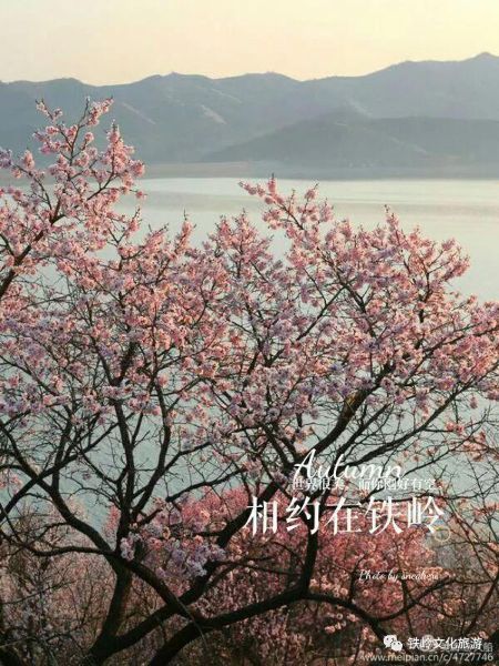 最后