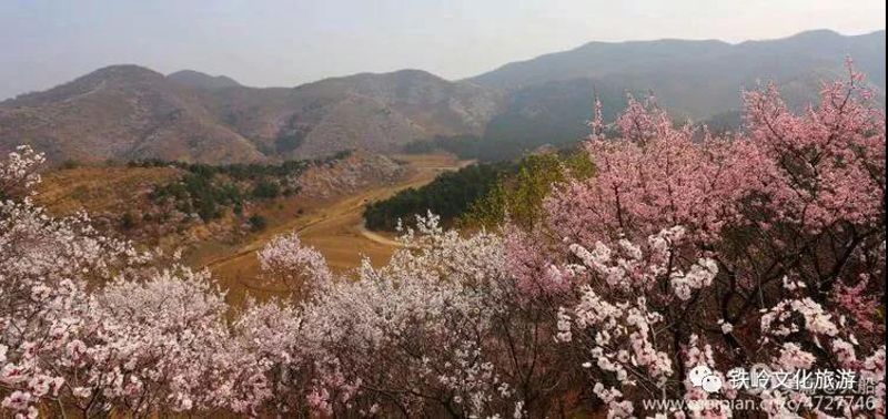 铁岭县李千户乡