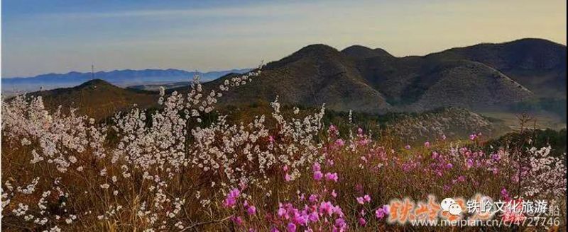 铁岭花豹冲风景区