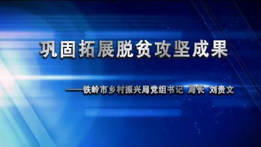 巩固拓展脱贫攻坚成果