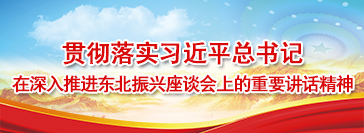 贯彻落实习近平总书记在深入推进东北振兴座谈会上的重要讲话精神